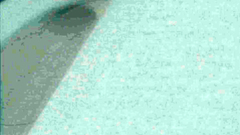 In this hospital every chick is a horny slut!