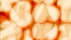 Erotic dreams and virtual reality in hentai porn toon