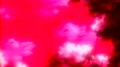 Erotic adventures of naughty hentai cuties