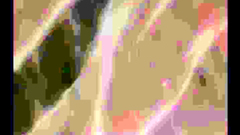 Busty elvish cuties getting nailed really hard