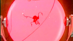 Big breasted ladies know how to make pleasure to each other