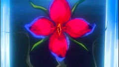 This horny flower knows how to please a girl