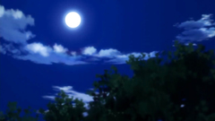 Lagre breasts and sexy babes in fantasy porn clip