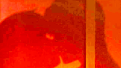 Hardcore action with lovely hentai babes