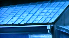 These ugly creatures want some sexy girls