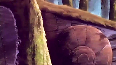 Handsome naked cutie attacked by horny tentacle