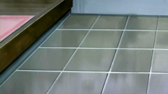 Young and busty lovely cutie swallows hard erection and gets drilled