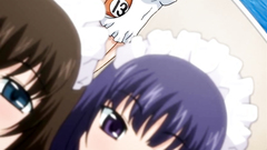 Juicy cunts getting drilled by hard cocks in hentai toon