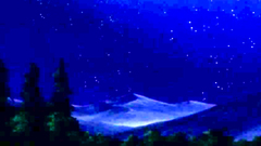 Those hentai babes have gorgeous bodies and love to fuck