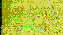 Every guy can fuck this cute submissive babe