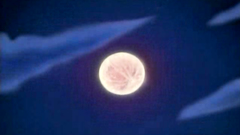 This handsome reporter babe is a real slut!