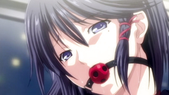 Hardcore train fuck with a lovely brunette