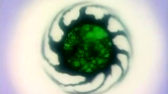 Old school hentai xxx cartoon video with nice girls