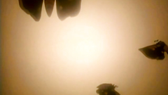 Another hentai cartoon with seductive girls