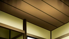 Hot brunette babe in classy lingerie in porn toon