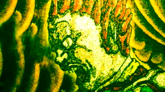 Hentai teen is under attack - erotic cartoon video