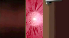 Deep and passionate drilling for sexy cutie