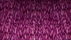 Another beautiful cartoon teen with redhead babe