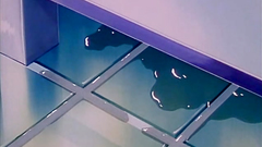 Romantic kissing of handsome brunette babes