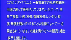 Hardcore and spectacular action in hentai porn toon