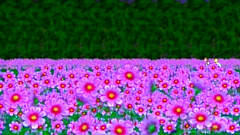 Sweet and young hentai characters in erotic cartoon