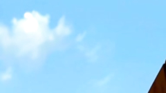 Naruto babe takes fat dick in her mouth and shaved pussy