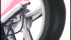 Stylish brunette babe in fancy clothes looks very hot