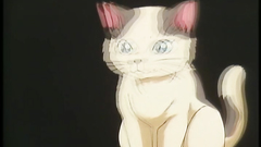 Lonely babe touching herself when feels horny