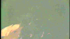 Spectacular young sexy babes in hentai anime toon