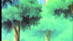 Long-haired blonde babe blows cock in the park