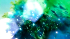 She looks like one of these Sailor Moon girls