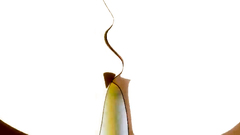 Passionate threesome fuck in anime hentai porn