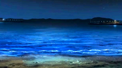 This is her first outdoor fuck on the beach