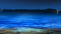 Amazing beach sex with horny brunette teen