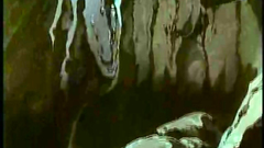 Two busty babes catches one little sexy monster