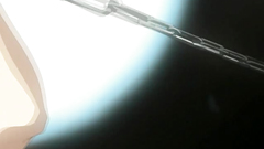 There is no taboo for anybody in this family