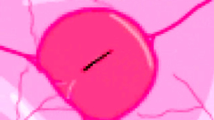 Brunette girl strokes hard cock with her boobies