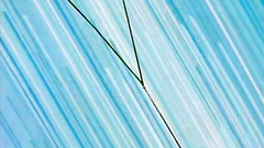 Busty fantasy babes with big tits in hentai cartoon