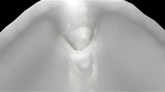 3D video clip for the futanari sex and big tits lovers