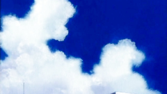 Seductive ladies getting drilled in their pussies