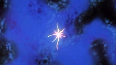 Young guy dreams about sexy girl from his school