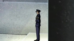 Seductive brunette with big tits gets fucked