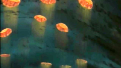 Amazing babes and evil horny monsters from anime