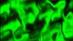 Cruel evil monsters against horny sexy girls