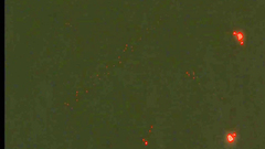 Seductive big breasted anime babes in nice hentai toon