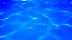 They love to swim and fuck in hentai cartoon