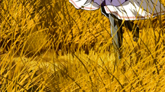 Submissive brunette slave does everything they want