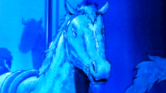 Secret love story of young and sexy couple