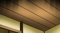 Passionate lovemaking with busty and sexy girls