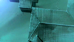 Hot and young girls from anime erotic cartoon